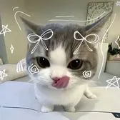 comment user avatar