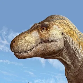 creator 🦖D1N0🦖's avatar