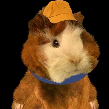 talkie's author avatar