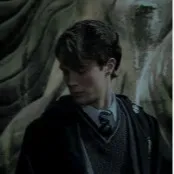 chat with ai character: ~Tom riddle~