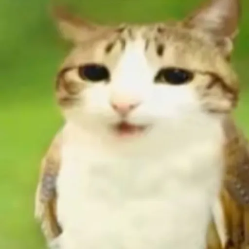 creator meøwl's avatar
