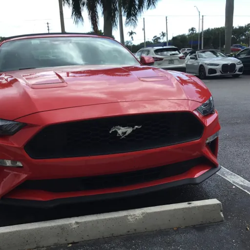 creator A mha fan's avatar