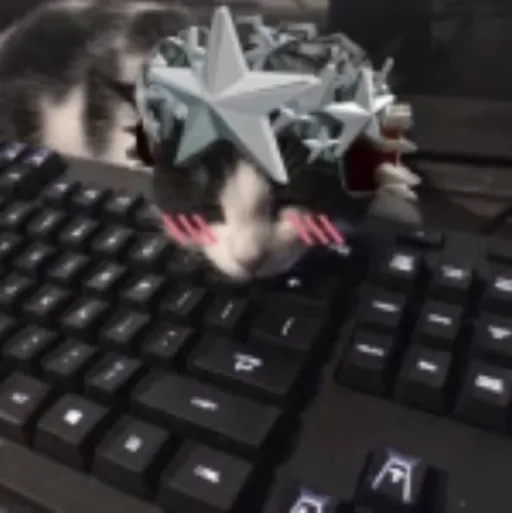 creator 🌻♥︎𝕞𝕖𝕠𝕨𝕪_𝟷𝟾𝟸🍥's avatar