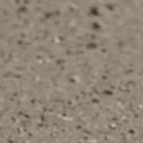 chat with ai character: HB