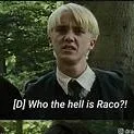 chat with ai character: DRARRY