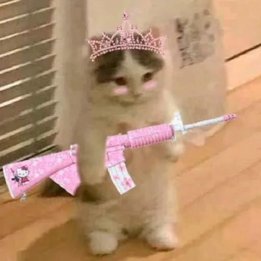 creator shefriendlyy's avatar