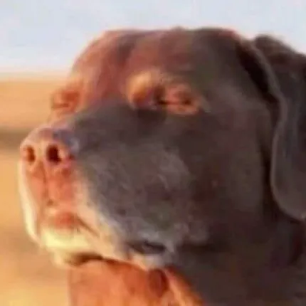 creator sharpy corp's avatar