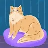 creator Amelia Rodurri's avatar