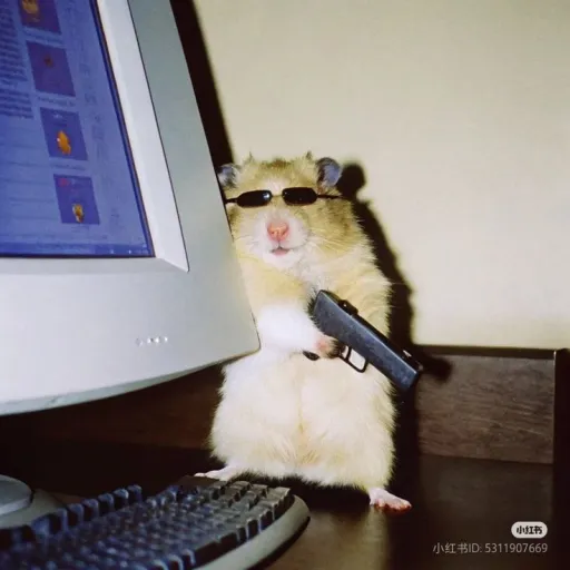 creator Gracious8265's avatar