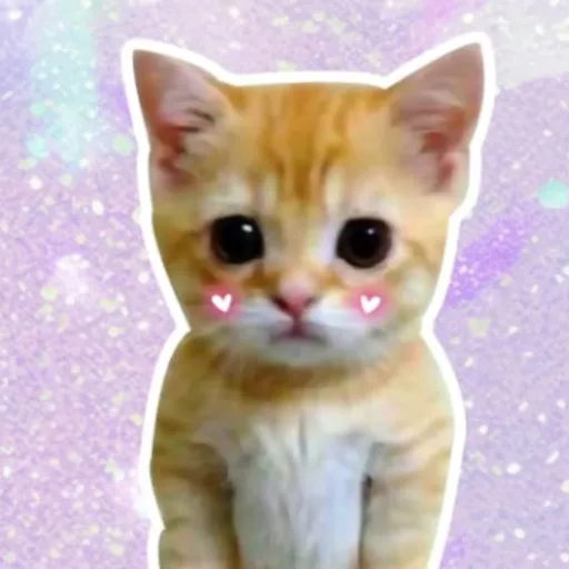 creator Stay_blink_(army)'s avatar