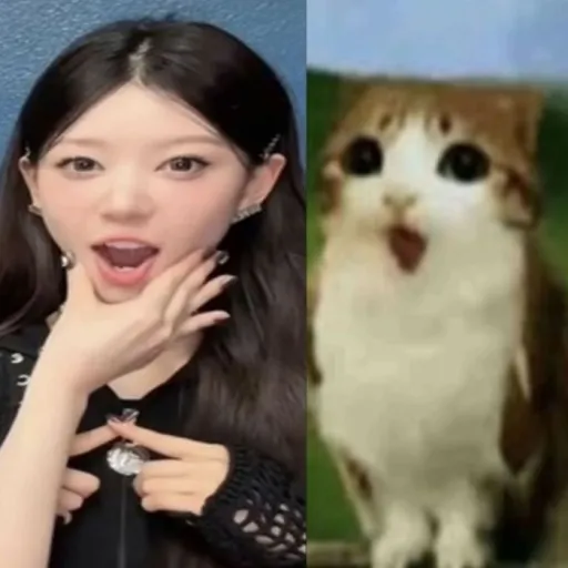 creator 𝕝𝟘𝕧𝔼𝕤 _ℂ𝟜𝕥𝕤's avatar