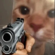 creator SomeoneYouDontKno2's avatar