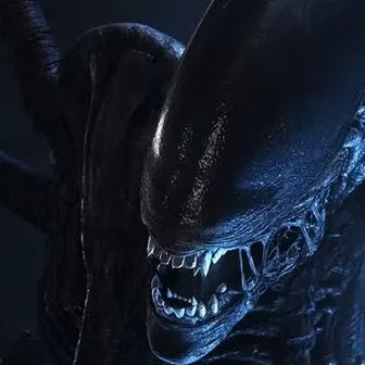 chat with ai character: Xenomorph (you)