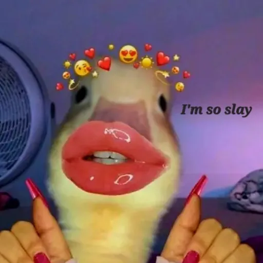 comment user avatar