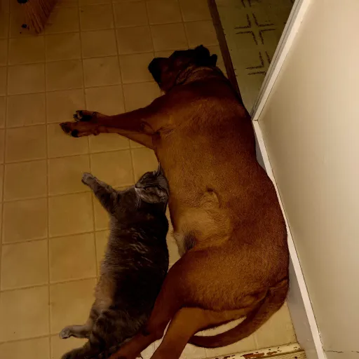 creator user1946's avatar