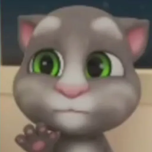 creator My Talking Tom 2's avatar