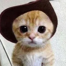 chat with ai character: ...