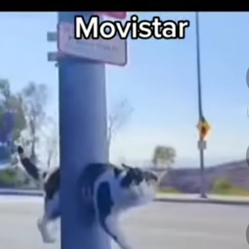 creator 🎅❤️tungsahur❤️🎅's avatar