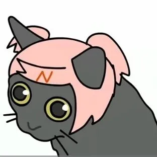 creator natacha gato's avatar