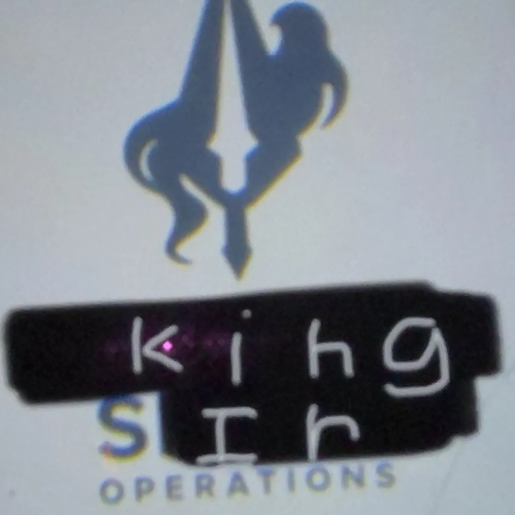 chat with ai character: King sir Operation