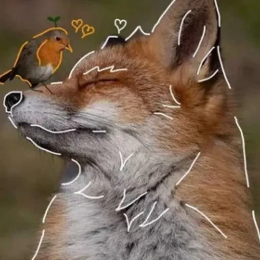 creator ♡dat♡hot♡bitch♡'s avatar
