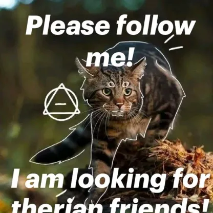creator Holly Wayman's avatar