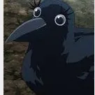 creator muichiros bird's avatar