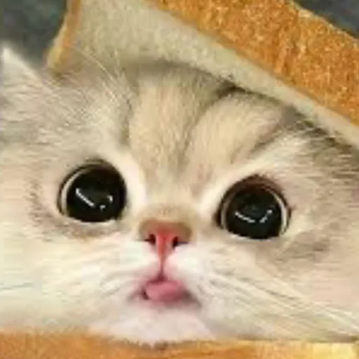 creator G00FYW4FFL3Z☆〜's avatar