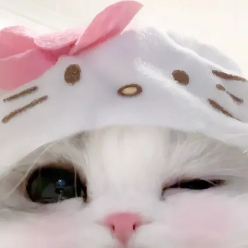 creator Kittie_Pinky's avatar