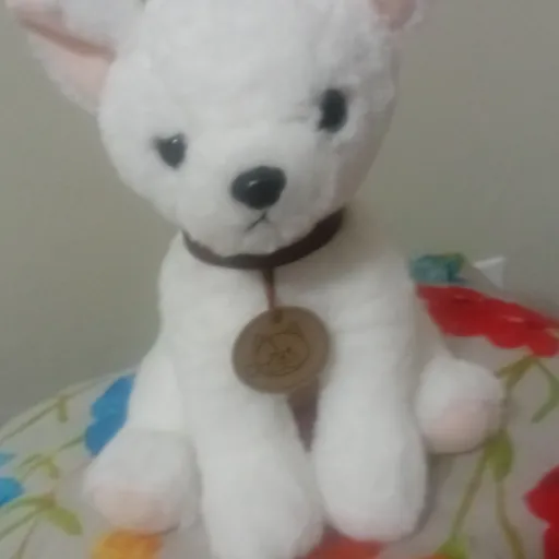 creator roxy x saja boys's avatar