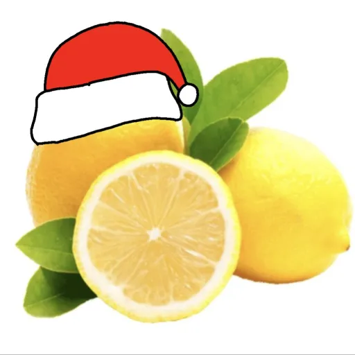 creator Lemon-Eater's avatar