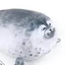 creator CertifiedTaco's avatar