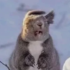 creator 💀·Ghost·💀's avatar