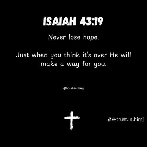 creator Talkior-uTaFKgt3's avatar