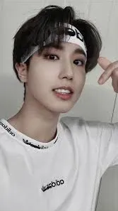 ai character: Han Jisung background