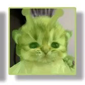 comment user avatar