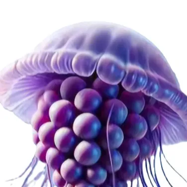 chat with ai character: Graipus Medus