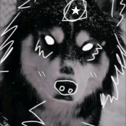 creator ✡|•mewo•|✡'s avatar