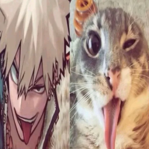 creator Talkior-GjGmZBdV's avatar