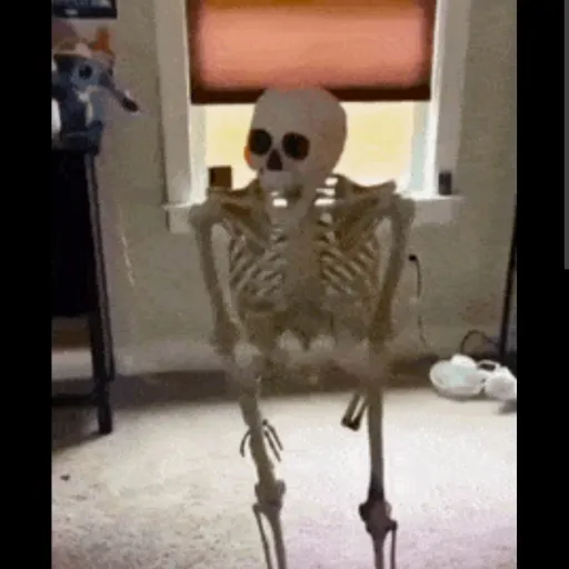 creator 💀Mr skeleton💀's avatar