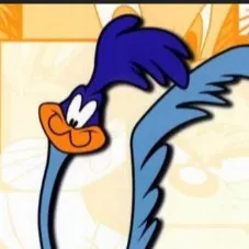 chat with ai character: Roadrunner.