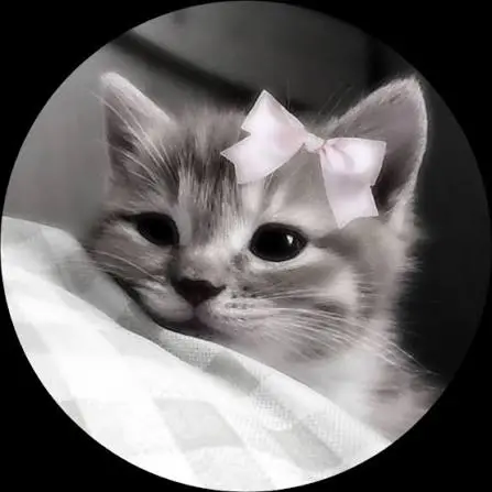 creator gracicee's avatar