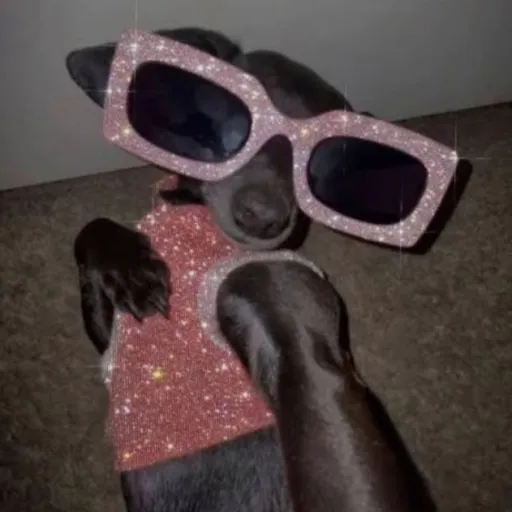 creator 🌹⚘️🍁carla🌹🍁⚘️'s avatar