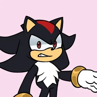 chat with ai character: 🖤shadow🖤