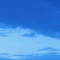 creator shn_377's avatar