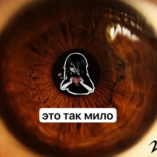 creator Соня Заікіна's avatar