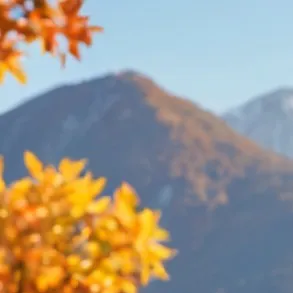 chat with ai character: Rabbit in mountain