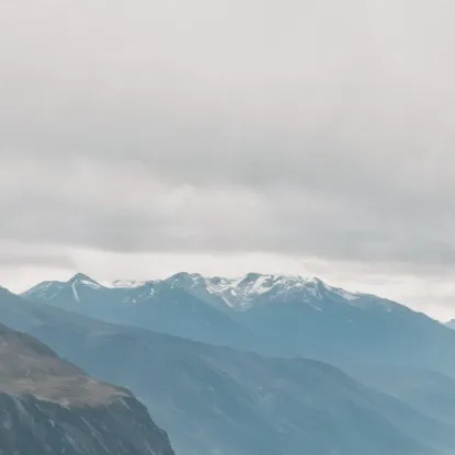 chat with ai character: Sheeps