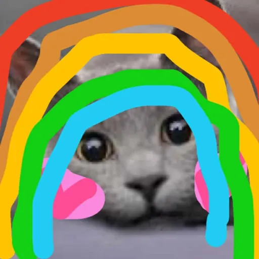 creator Catty meo's avatar