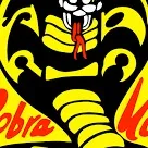 chat with ai character: Cobra kai
